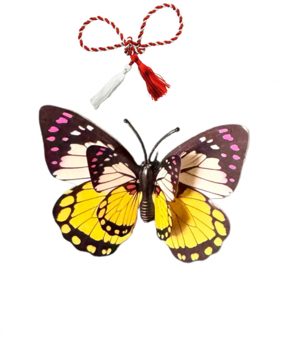 Brosa martisor fluture [1]