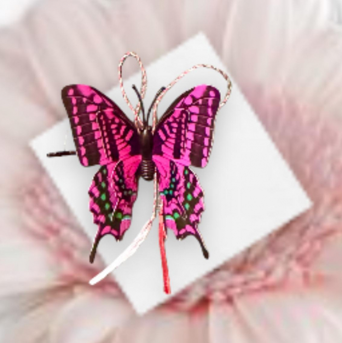 Martisor Fluture Clama par fetite [1]