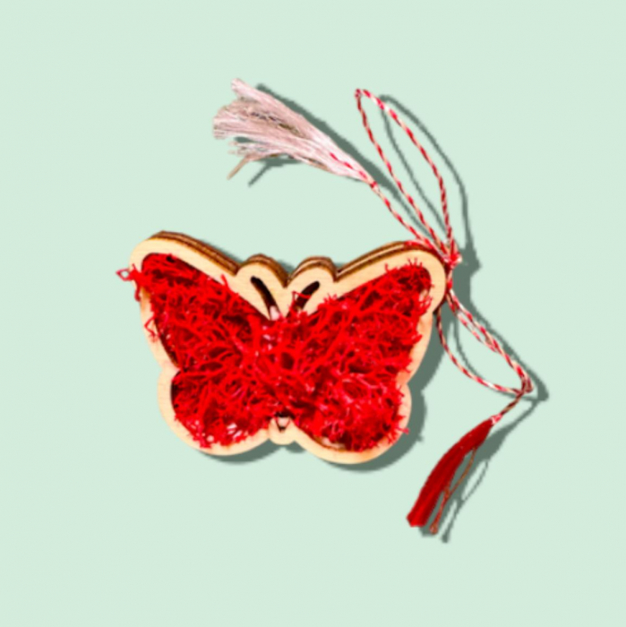 Martisor fluture cu licheni stabilizati Hand-Made [1]