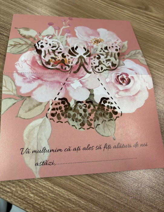 Plic de bani cu ingerasi [2]