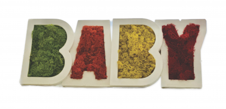 Tablouri cu licheni stabilizati - Decoratiune rama foto cu licheni "Baby" 18 x 45 cm.