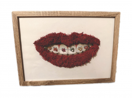 Tablouri cu licheni stabilizati - Decoratiune rama foto lemn cu lichieni si pietricele, model “Aparat dentar”