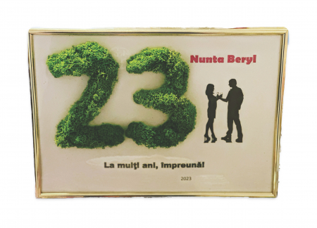 Tablouri cu licheni stabilizati - Decoratiune rama foto personalizata cu licheni "Casnicie Fericita!" - Nunta Beryl - 23 ani de casnicie