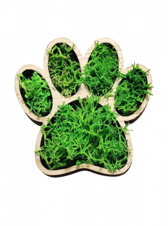 Toate produsele - Martisor laba animal cu licheni stabilizati