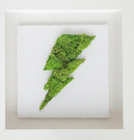 Toate produsele - Rama / Tablou Harry Potter din Licheni Stabilizati