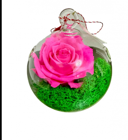 Trandafiri criogenati - Trandafir criogenat pe pat de licheni in glob de sticla