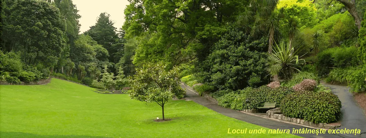 SOLARIS GARDEN