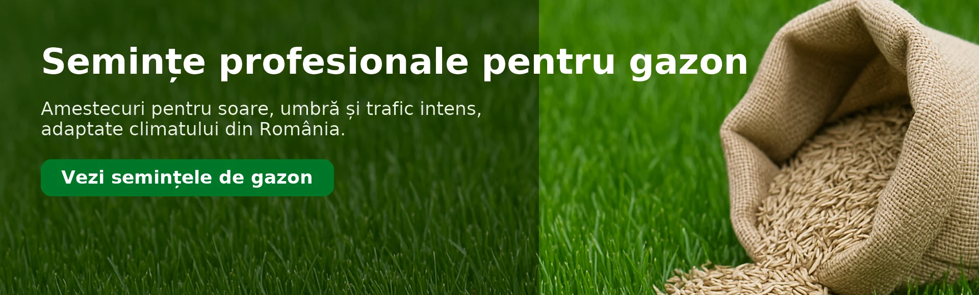 Semințe profesionale pentru gazon