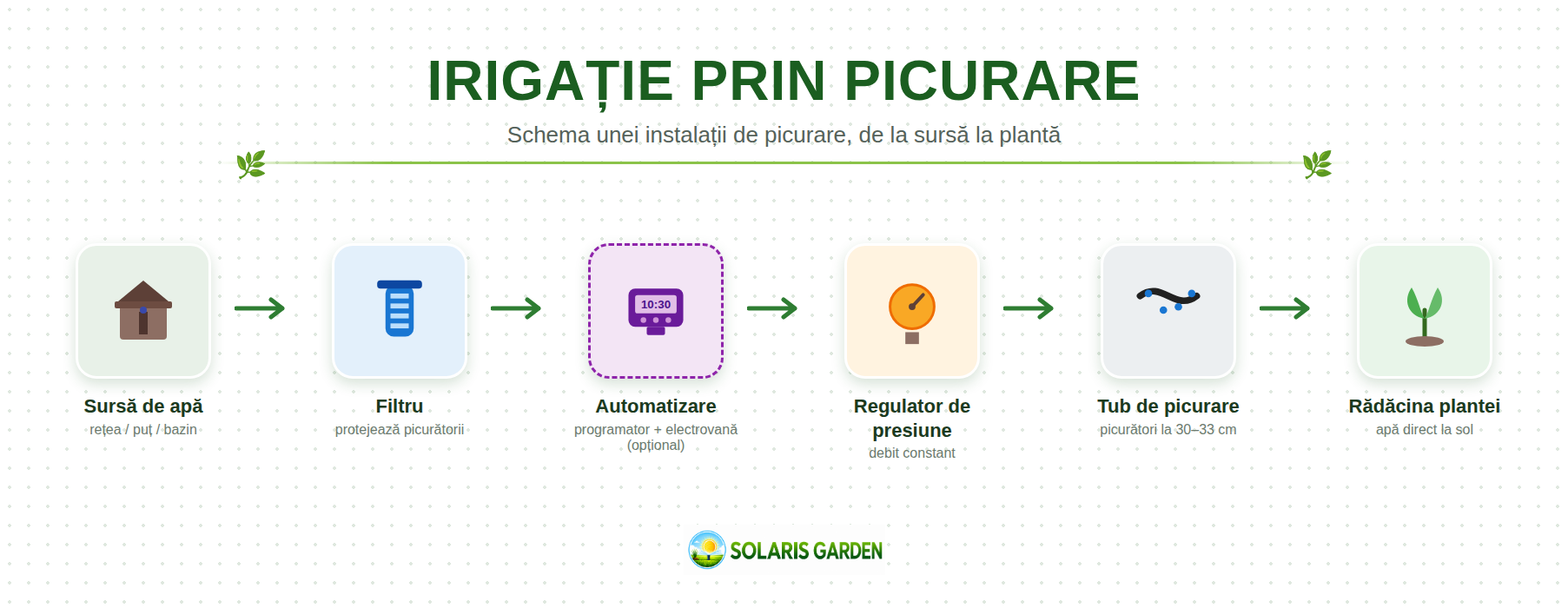 Irigație prin picurare | Componente, montaj și recomandări