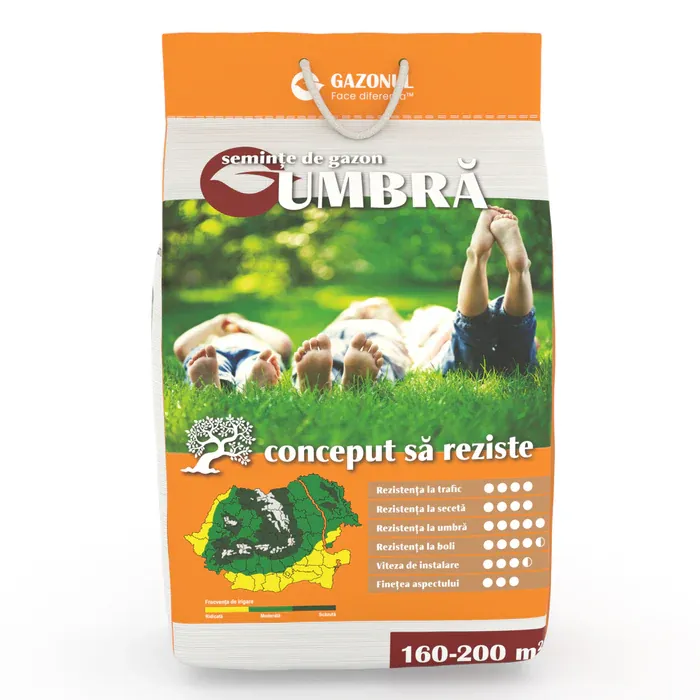 semințe gazon umbră 4 kg – amestec pentru zone umbrite [2]