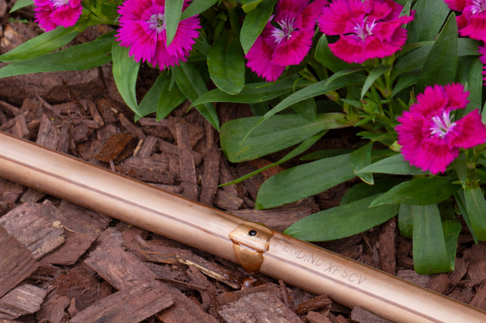 Tub de picurare Rain Bird cu compensator de presiune – eficiență în irigare picătură [2]