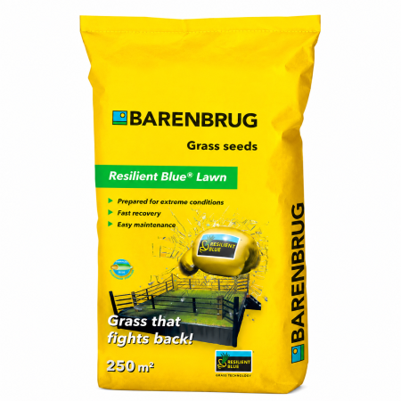 Semințe gazon Barenbrug - Semințe gazon Barenbrug Resilient Blue Lawn 5 kg