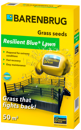 Semințe gazon - Semințe gazon Resilient Blue Lawn 1 Kg Barenbrug