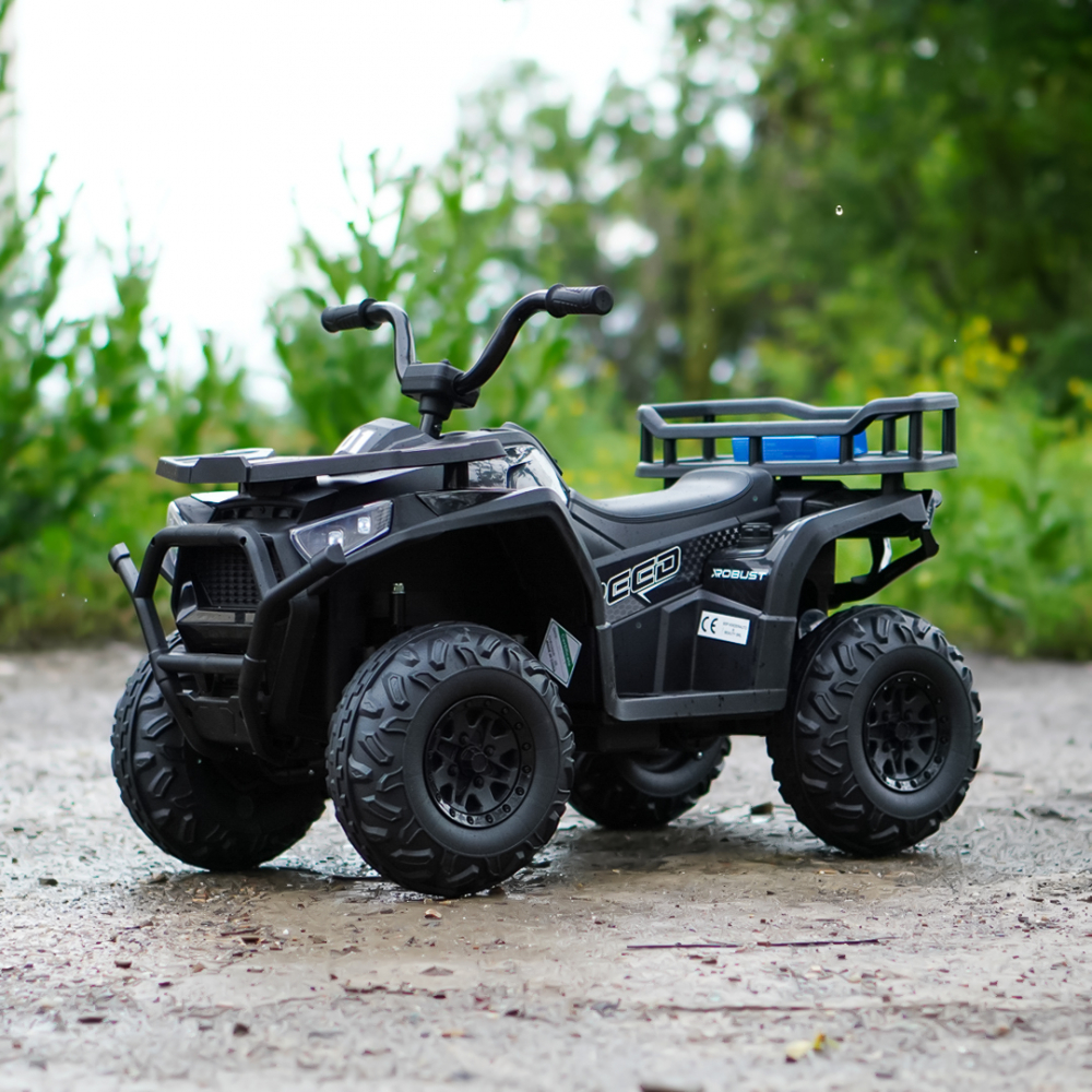 Electric ride-on ATV for children Solley MiniDesert, 2-5 years, 70W 12V, bluetooth, black [3]