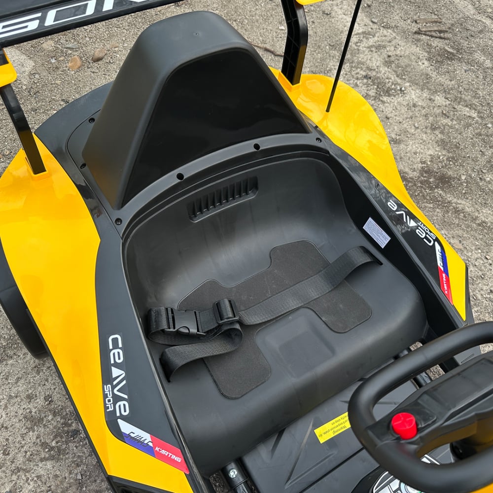Kart electric pentru copii intre 3 si 11 ani, Racing F1, 90W, 12V, telecomanda inclusa, galben [11]