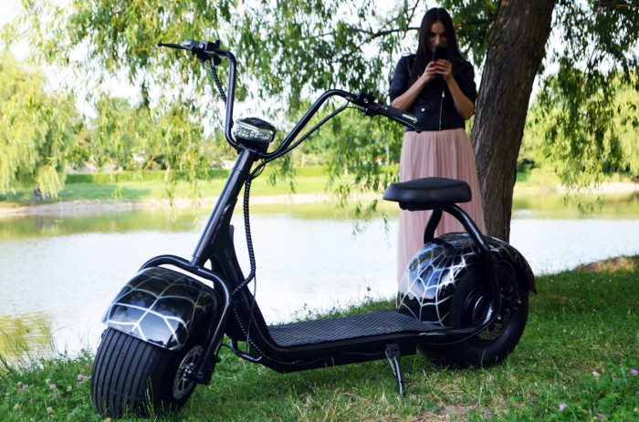 Electric scooter for adults Solley BlackSpider SMD-101, 1500W, 60V, black [8]