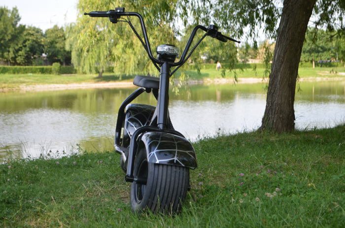 Electric scooter for adults Solley BlackSpider SMD-101, 1500W, 60V, black [3]