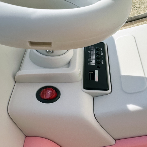 Masinuta pentru copii 4 in 1,  FunnyBunny 60W 6V, cu telecomanda si remorca, roz [16]