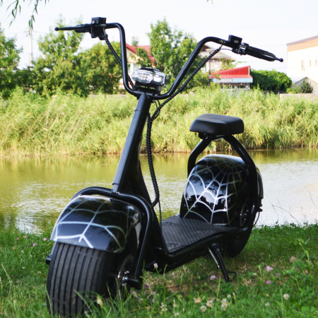 Electric scooters for adults - Electric scooter for adults Solley BlackSpider SMD-101, 1500W, 60V, black