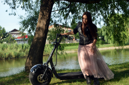 Electric scooter for adults Solley BlackSpider SMD-101, 1500W, 60V, black [9]