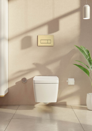 Placa de comanda Root, auriu francez periat | 740-2325 [3]