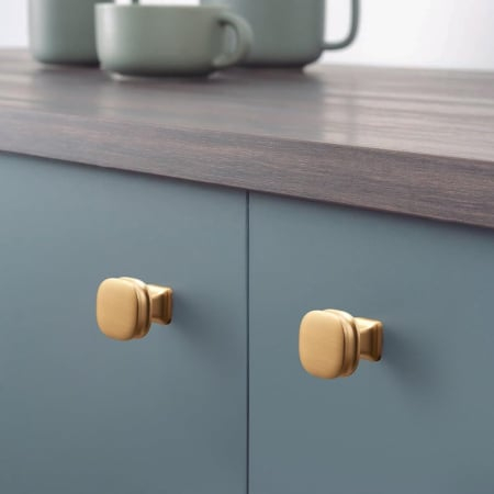 Buton mobila PAVIO 30x23 mm, brushed gold [6]