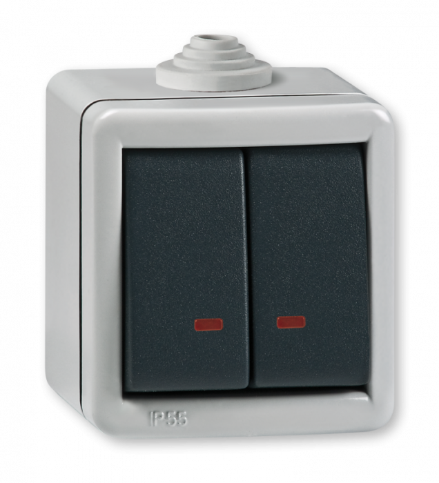 INTRERUPATOR DUBLU CU LED PT 10A 250V~ METAL IP55 IK07 ARMOR [1]