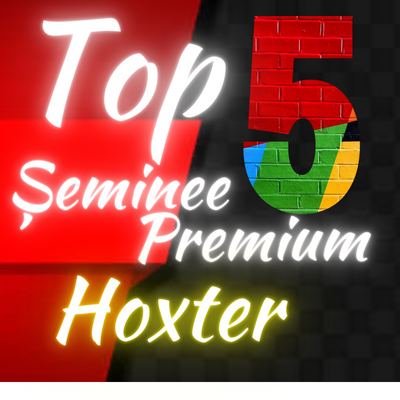 Șeminee pe Lemne Premium Hoxter cu Șamota: Caldura și Eleganță la Cele Mai Înalte Standarde