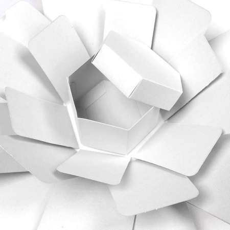 Cutie foto exploziva hexagonala alba [2]