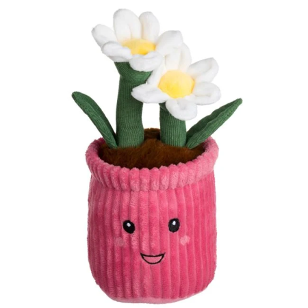 8 martie - Ghiveci de Plus Fucsia cu Margarete Albe 12x27cm