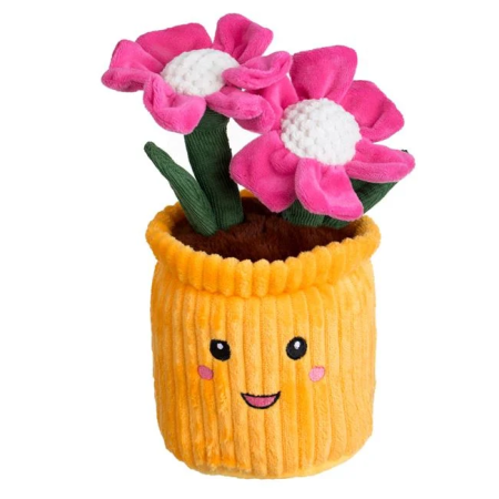 Ocazii speciale - Ghiveci Flori de Plus cu Margarete Roz 12x27cm