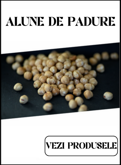 Alune de Padure - Principal