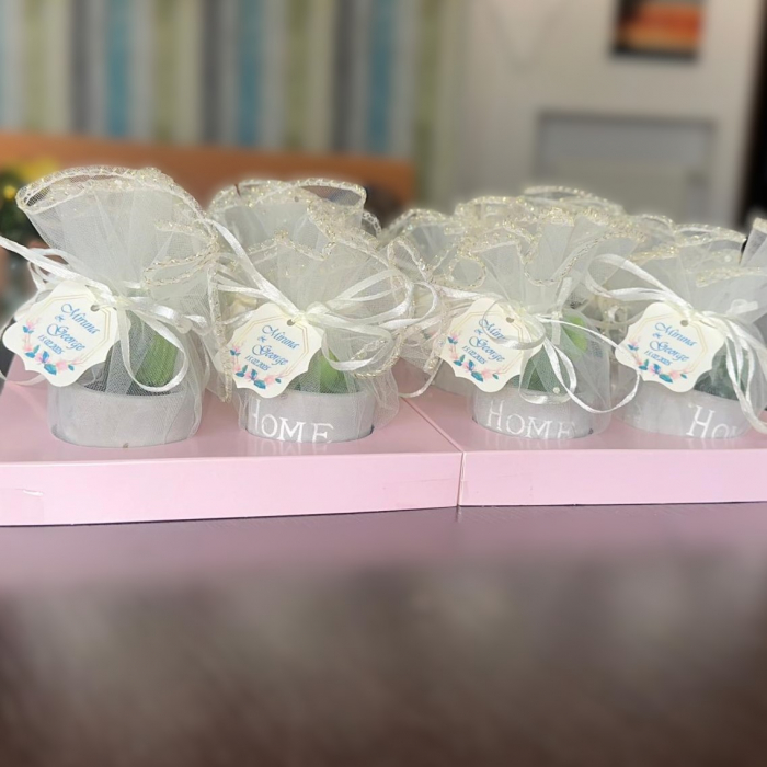 Marturii nunta cactus – lumanare in ghiveci gri cu tulle ivory si eticheta personalizata [2]