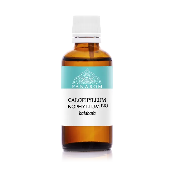 Kalabafaolaj - Calophyllum inophyllum - Ulei de calafat [1]