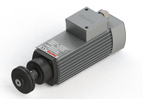 Spindle Hertz Motor HMA.XX_FL20.54.30F-CK-1R rectangular prindere cu flansa 54mm  pentru panza cu diametrul interior de 20mm [1]