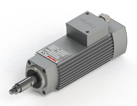 Spindle Hertz Motor HMA.XX_L41.9MK-AK-1R rectangular cu canal pana 16 mm Surub M10 [1]