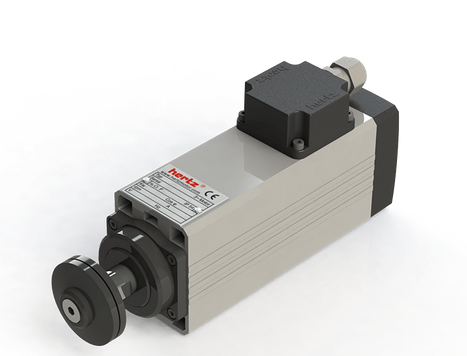 Spindle Hertz Motor HM55.XX_FL20.54.30F-CK-1R rectangular prindere cu flansa 54mm pentru panza cu diametrul interior de 20mm [1]