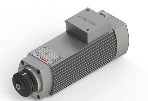 Spindle Hertz MotorHMB.XX_FL20.59.13F-AK-2R (1R) rectangular prindere cu flansa 59mm pentru panza cu diametrul interior de 20mm [1]