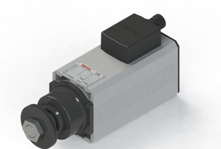 Spindle Hertz cu Profil special - Spindle Hertz Motor HM110.XX_FL30.98.29M-CK-2R rectangular prindere cu flansa 98mm pentru panza cu diametrul interior de 30mm -