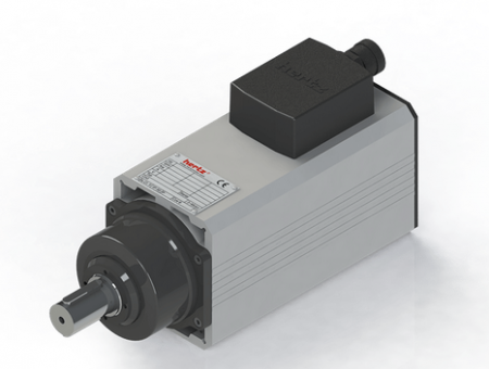 Spindle Hertz cu Profil special - Spindle Hertz Motor HM110.XX_L3.50FK-CK-2R rectangular cu prindere cu pana ax 30mm