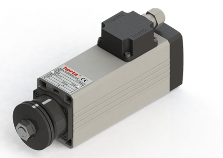 Spindle Hertz cu Profil special - Spindle Hertz Motor HM55.XX_FL20.63.8M-CK-2R rectangular prindere cu flansa 63mm pentru panza cu diametrul interior de 20mm