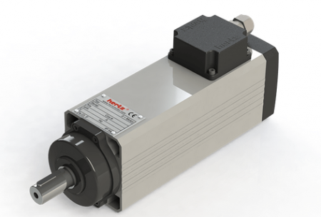 Spindle Hertz cu Profil special - Spindle Hertz Motor HM73.XX_L3.40FK-CK-2R rectangular cu axa de 20mm cu canal pana