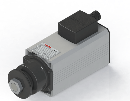 Spindle Hertz cu Profil special - Spindle Hertz Motor HM110.XX_FL30.98.14M-CK-2R rectangular prindere cu flansa 98mm pentru panza cu diametrul interior de 30mm