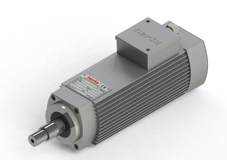 Spindle Hertz Motor HMB.XX_L36.25F-AK-2R (1R) rectangular cu canal pana 20 mm SW22 [0]