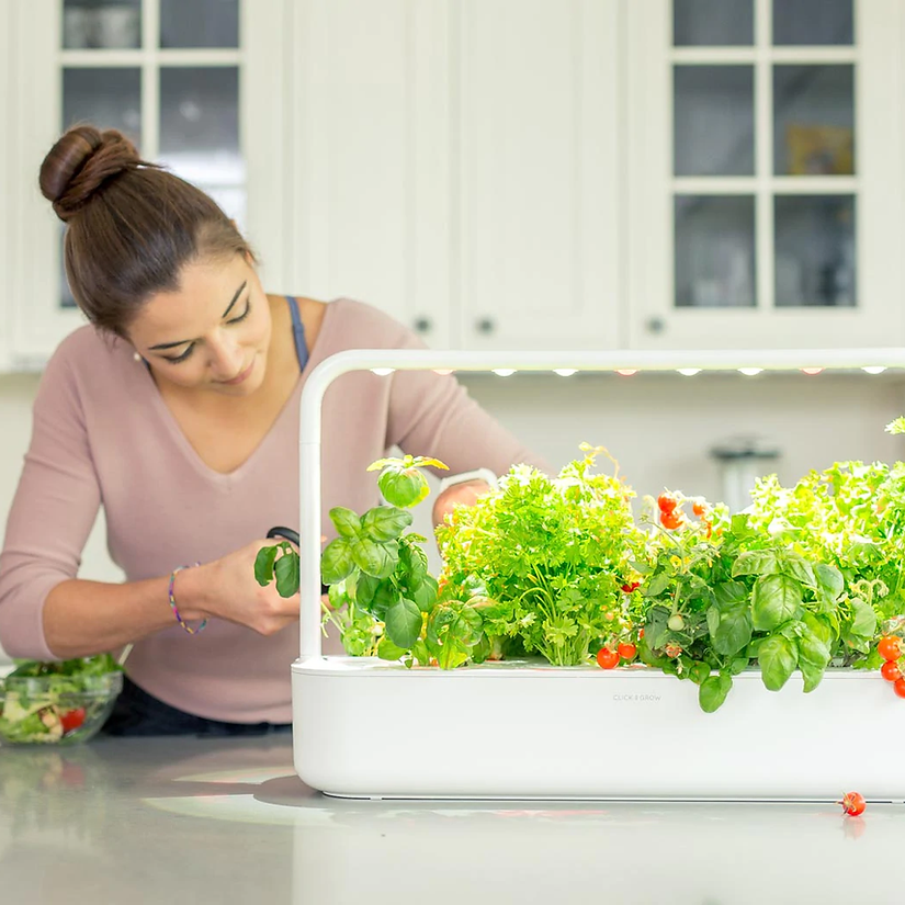 Gradina inteligenta Click & Grow Smart Garden 9 [4]