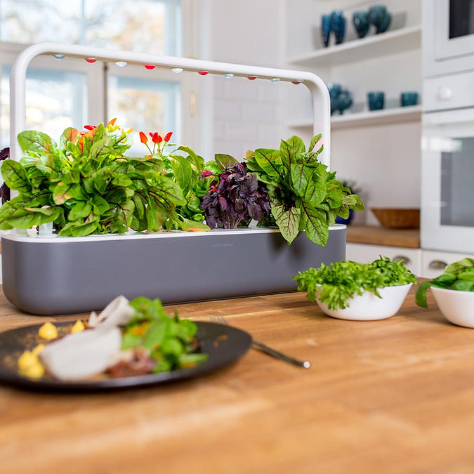 Gradina inteligenta Click & Grow Smart Garden 9 [3]
