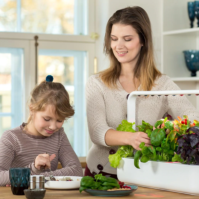 Gradina inteligenta Click & Grow Smart Garden 9 [2]