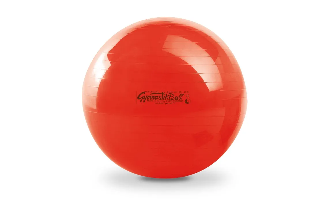 Mingi Medicinale - Minge Gimnastica 75cm - PINOFIT® Rosie