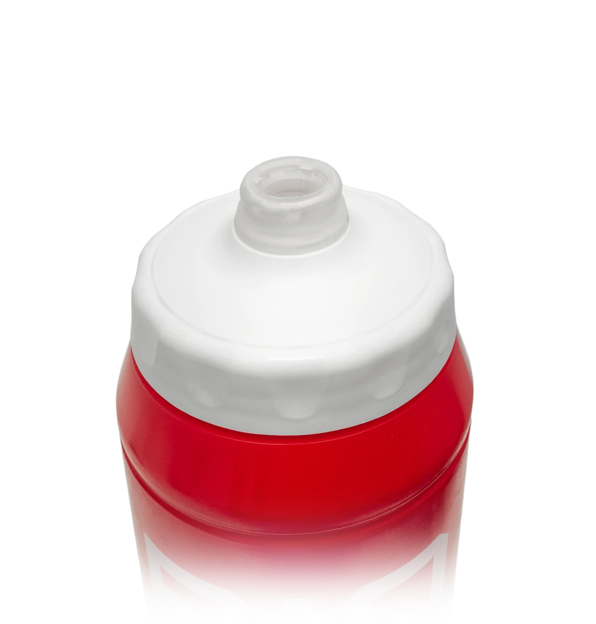 Team Bottle 800 ml [2]
