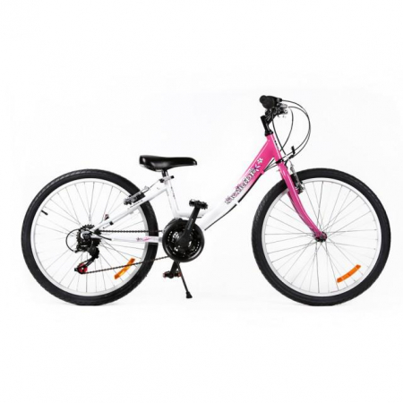 Import - Bicicleta MTB Passati Skyride 24"
